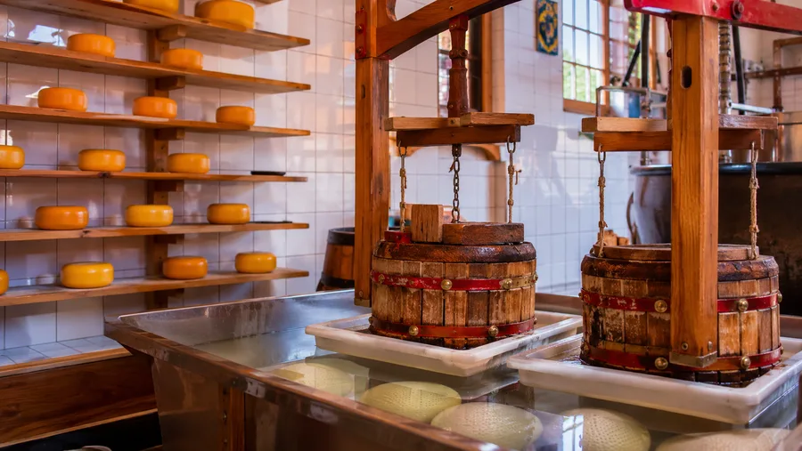 Zaanse Schans Museums & Workshops