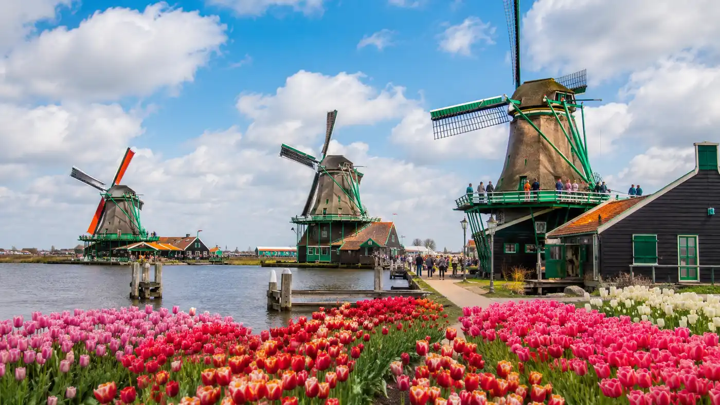 Zaanse Schans Museums & Workshops