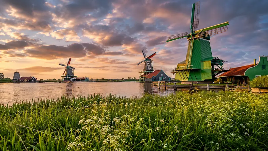 Zaanse Schans Windmill Tours & Experiences